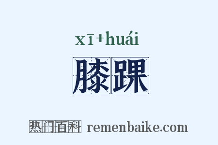 膝踝是什么意思的图片